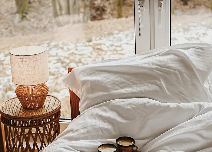 Lakehouse Nad Jeziorem Zywieckim Апартаменты Живец